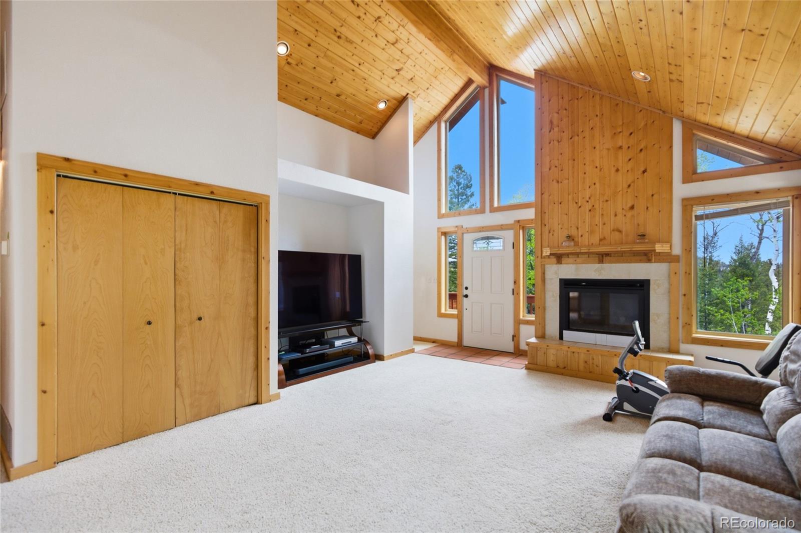 MLS Image #2 for 290  eagle rock road,florissant, Colorado