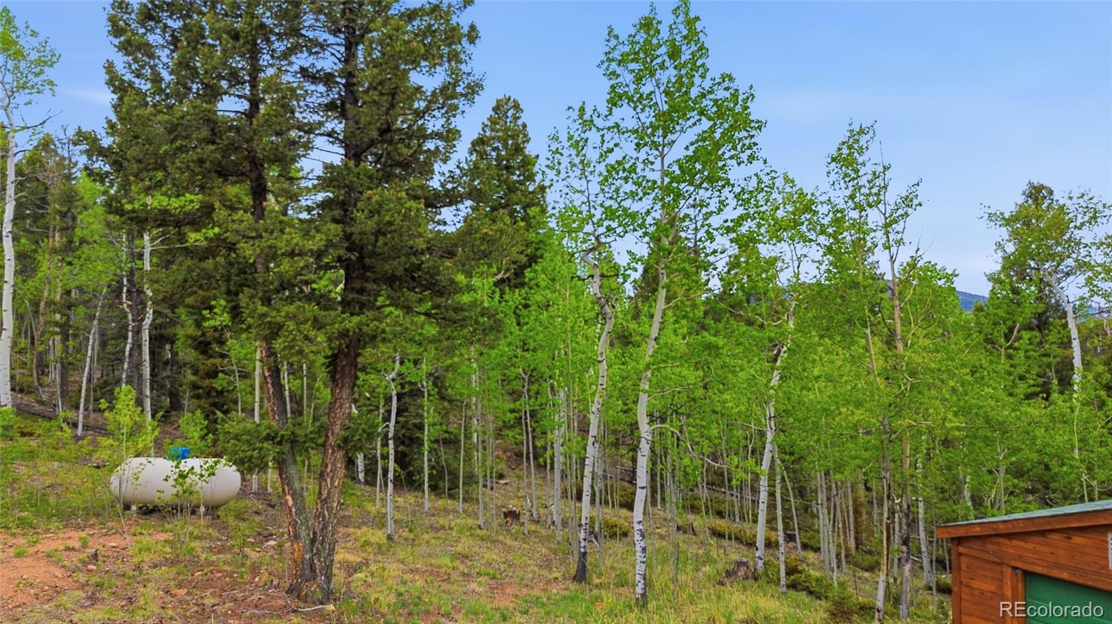 MLS Image #20 for 290  eagle rock road,florissant, Colorado