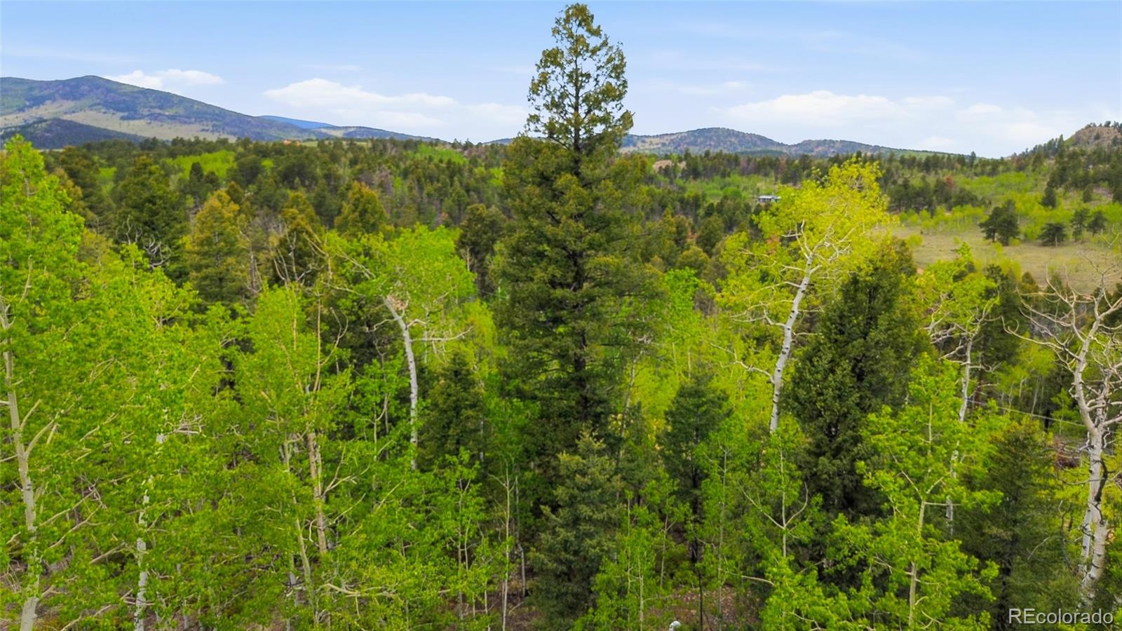MLS Image #22 for 290  eagle rock road,florissant, Colorado
