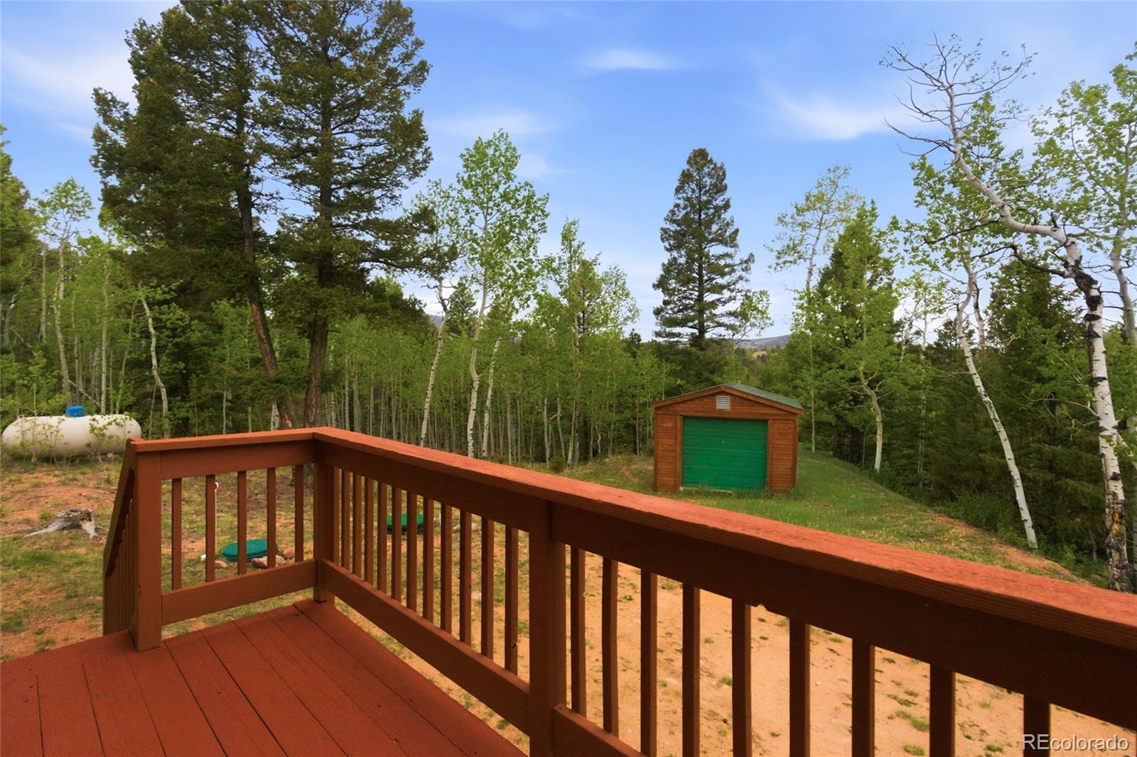 MLS Image #23 for 290  eagle rock road,florissant, Colorado