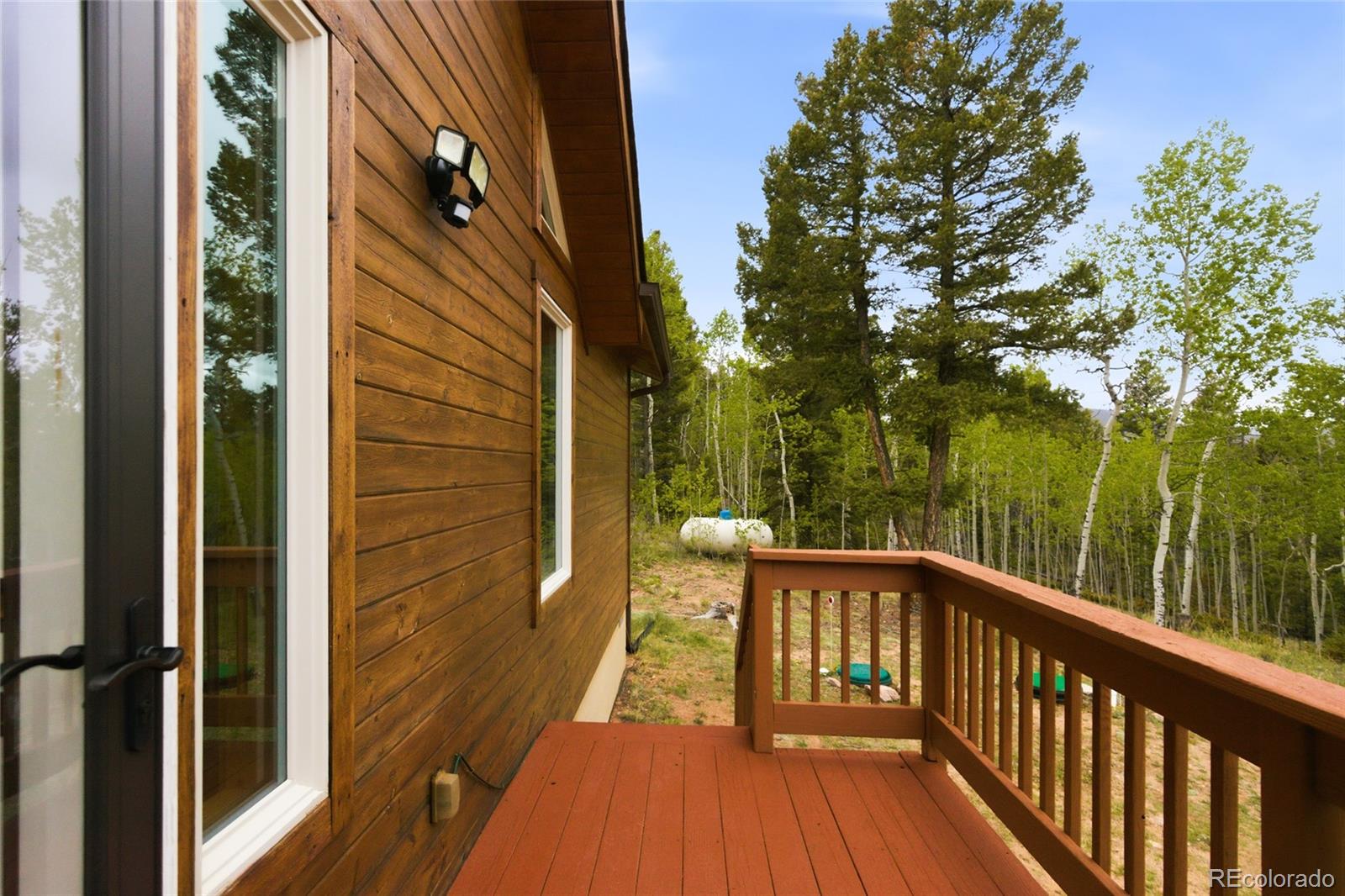 MLS Image #24 for 290  eagle rock road,florissant, Colorado