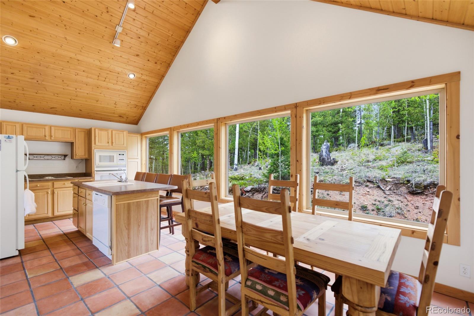 MLS Image #3 for 290  eagle rock road,florissant, Colorado