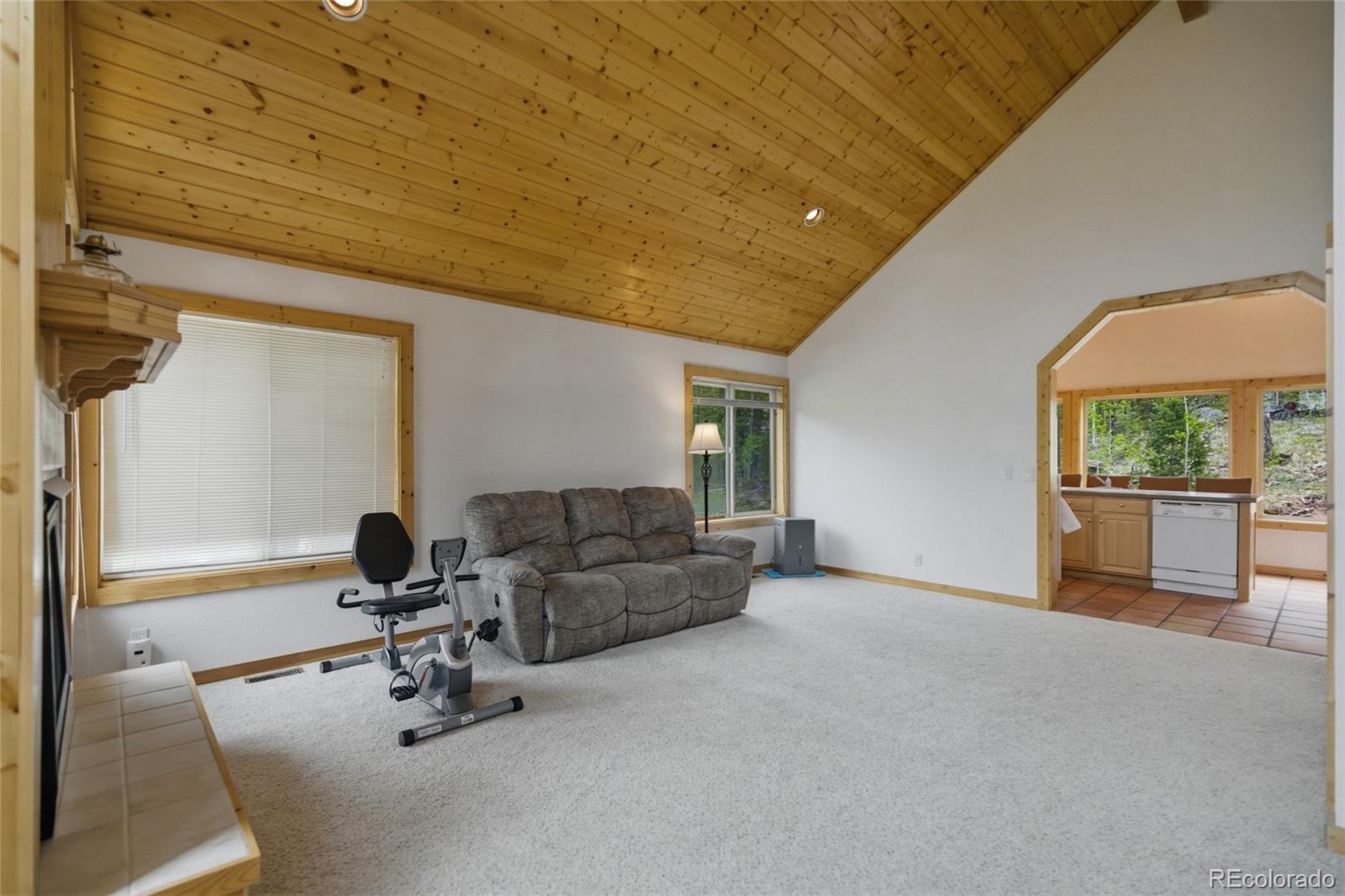 MLS Image #4 for 290  eagle rock road,florissant, Colorado