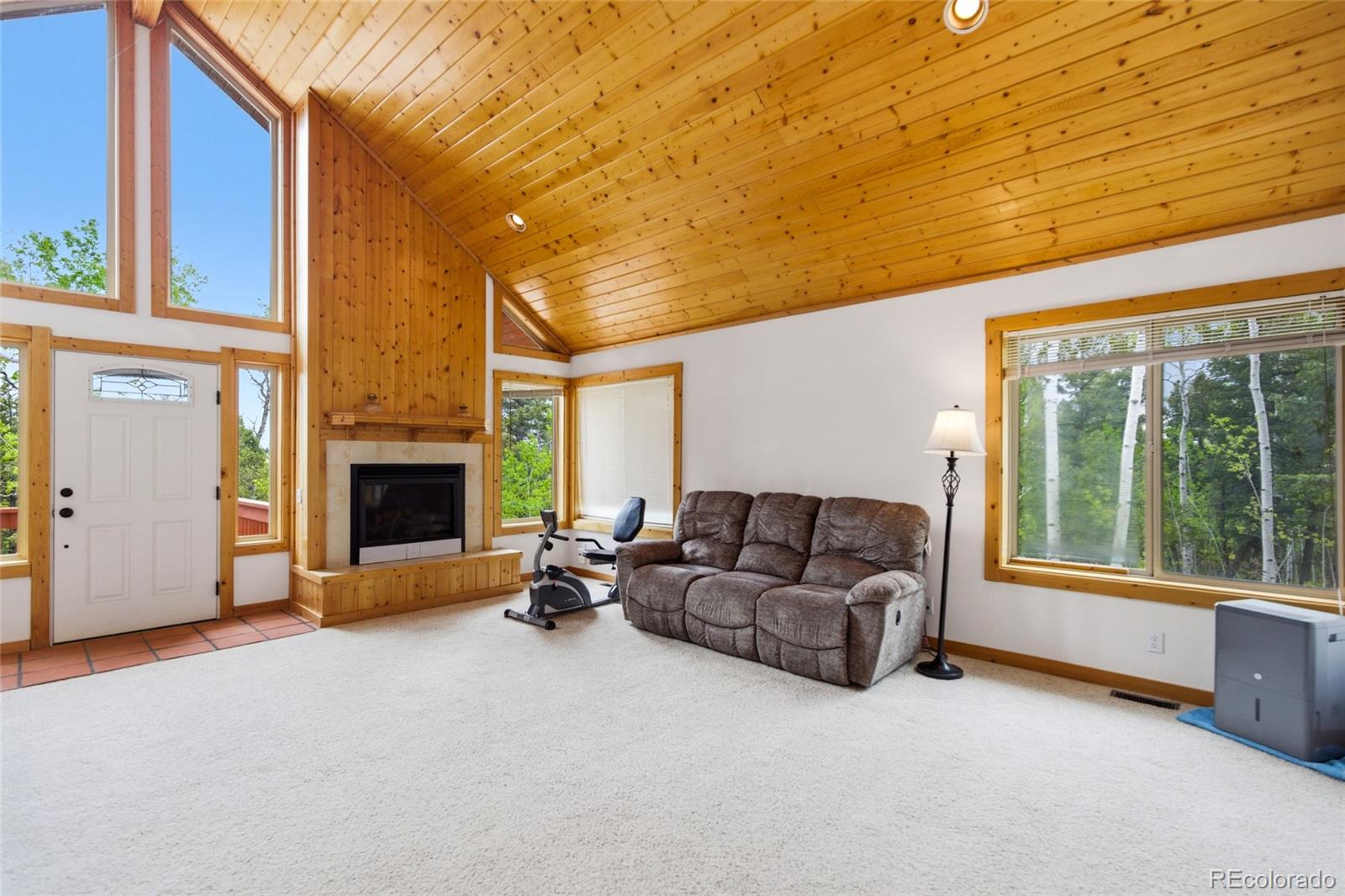 MLS Image #5 for 290  eagle rock road,florissant, Colorado
