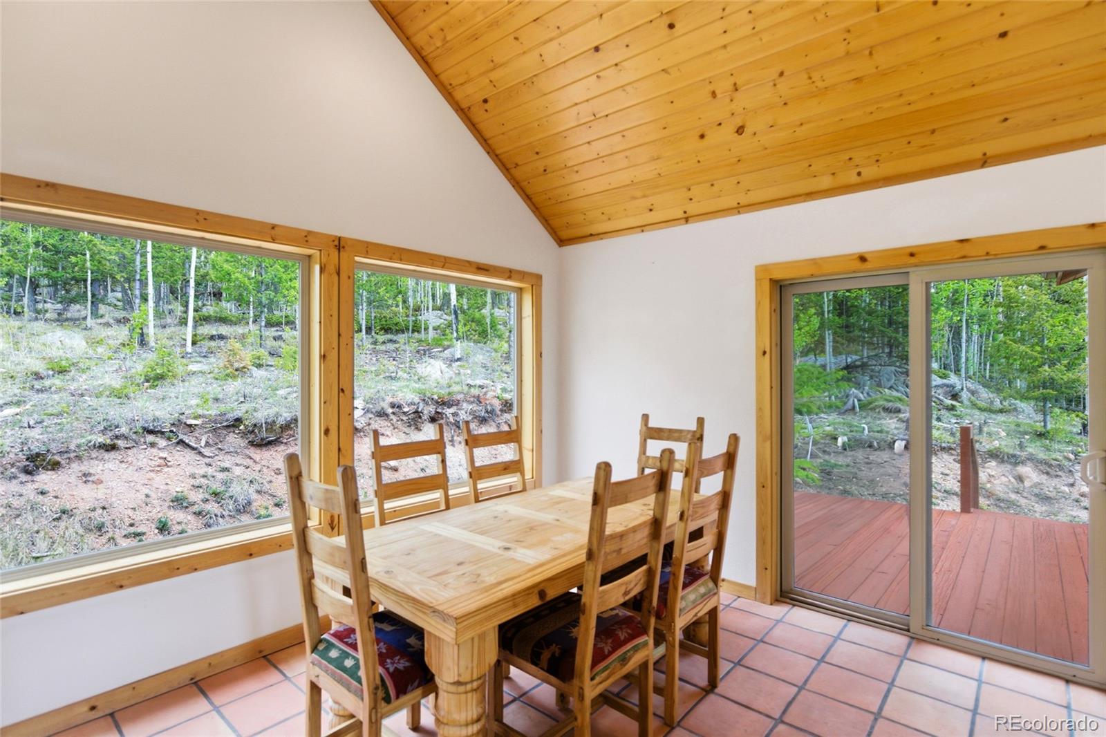 MLS Image #6 for 290  eagle rock road,florissant, Colorado