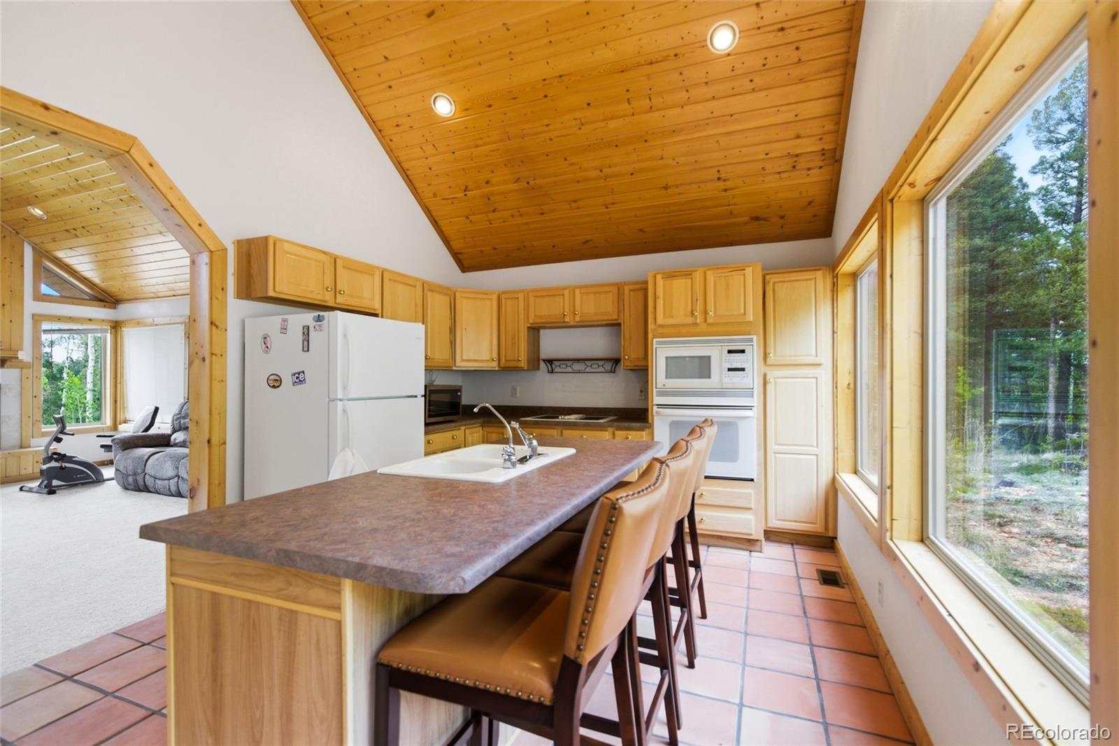 MLS Image #7 for 290  eagle rock road,florissant, Colorado