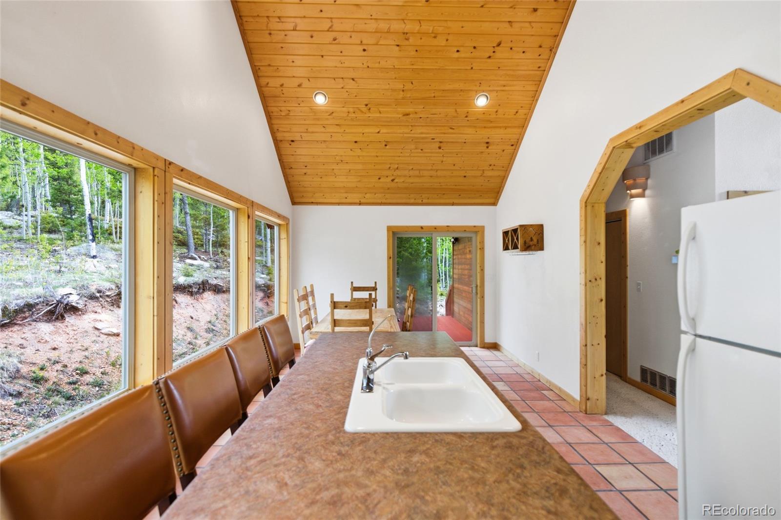 MLS Image #9 for 290  eagle rock road,florissant, Colorado