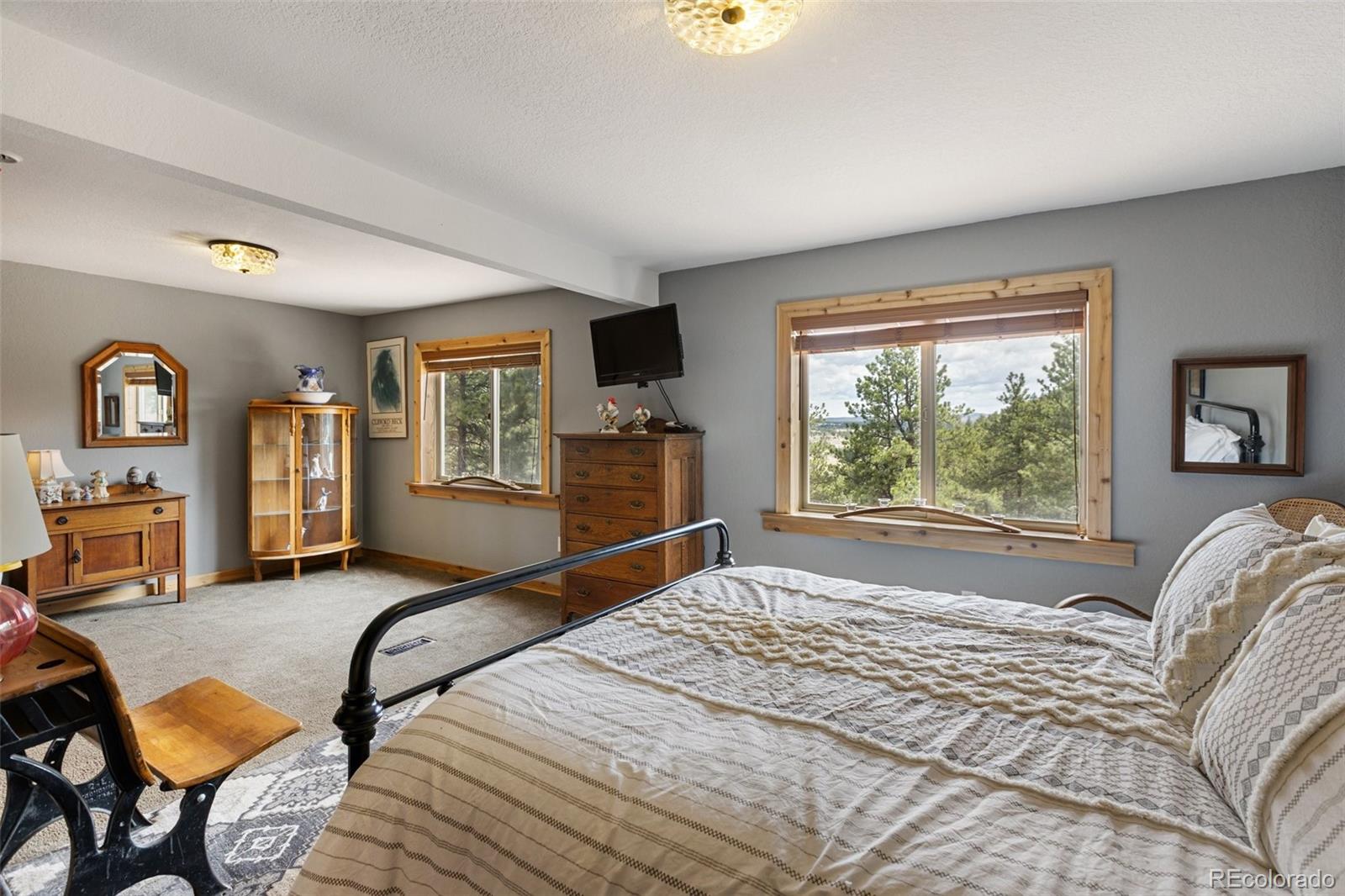 MLS Image #12 for 11396  county rd 102 ,guffey, Colorado