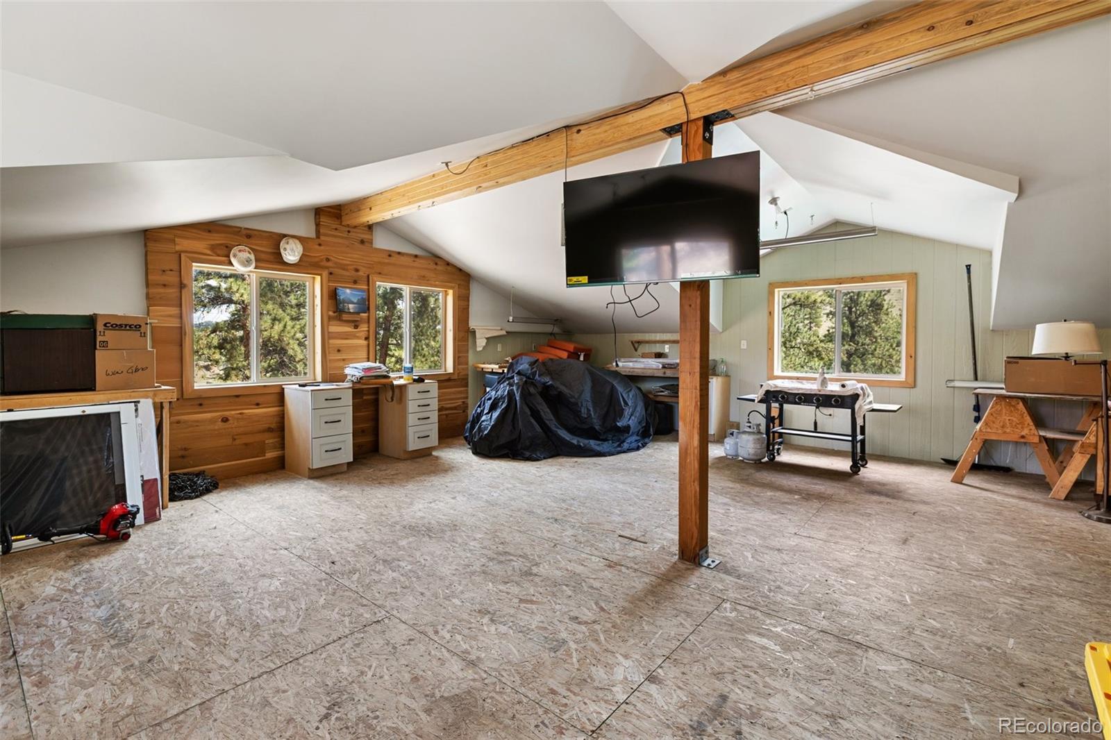 MLS Image #19 for 11396  county rd 102 ,guffey, Colorado
