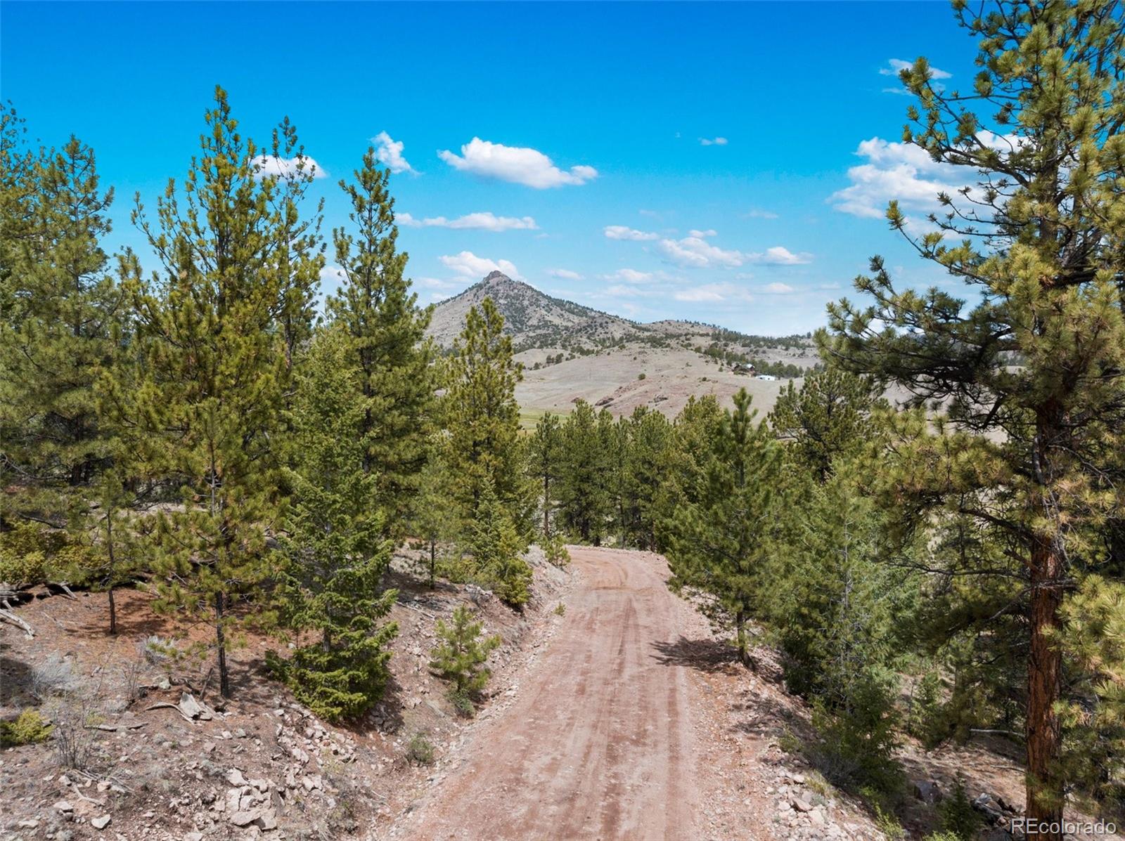 MLS Image #27 for 11396  county rd 102 ,guffey, Colorado