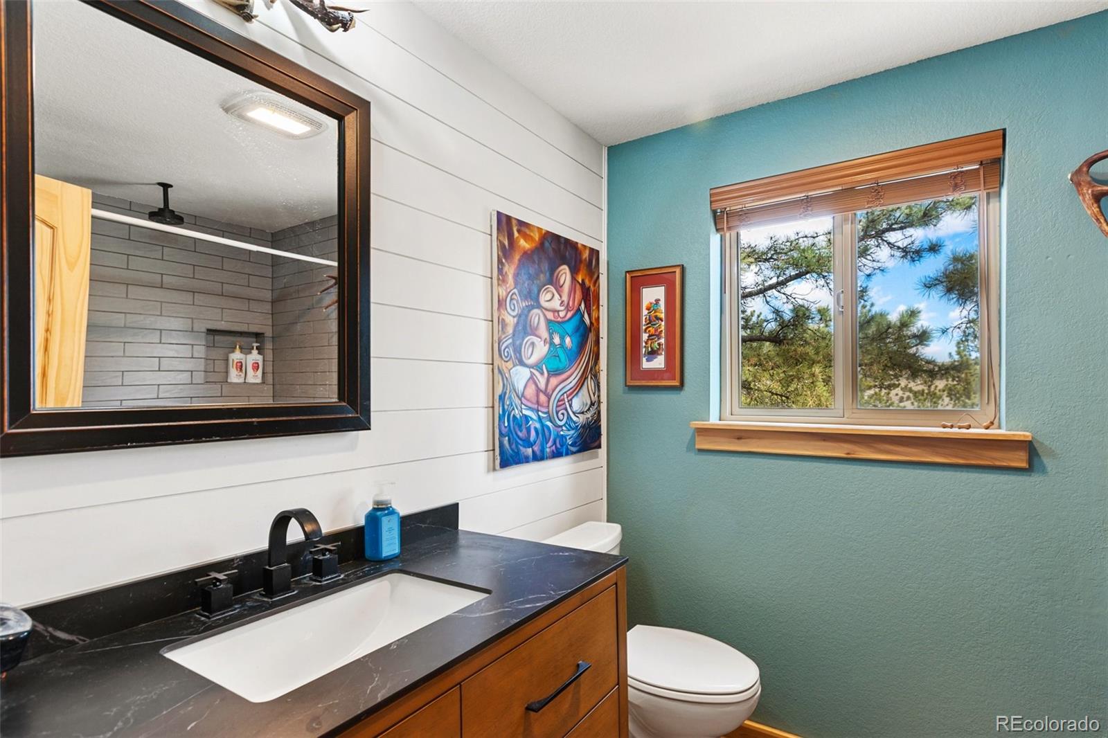MLS Image #9 for 11396  county rd 102 ,guffey, Colorado
