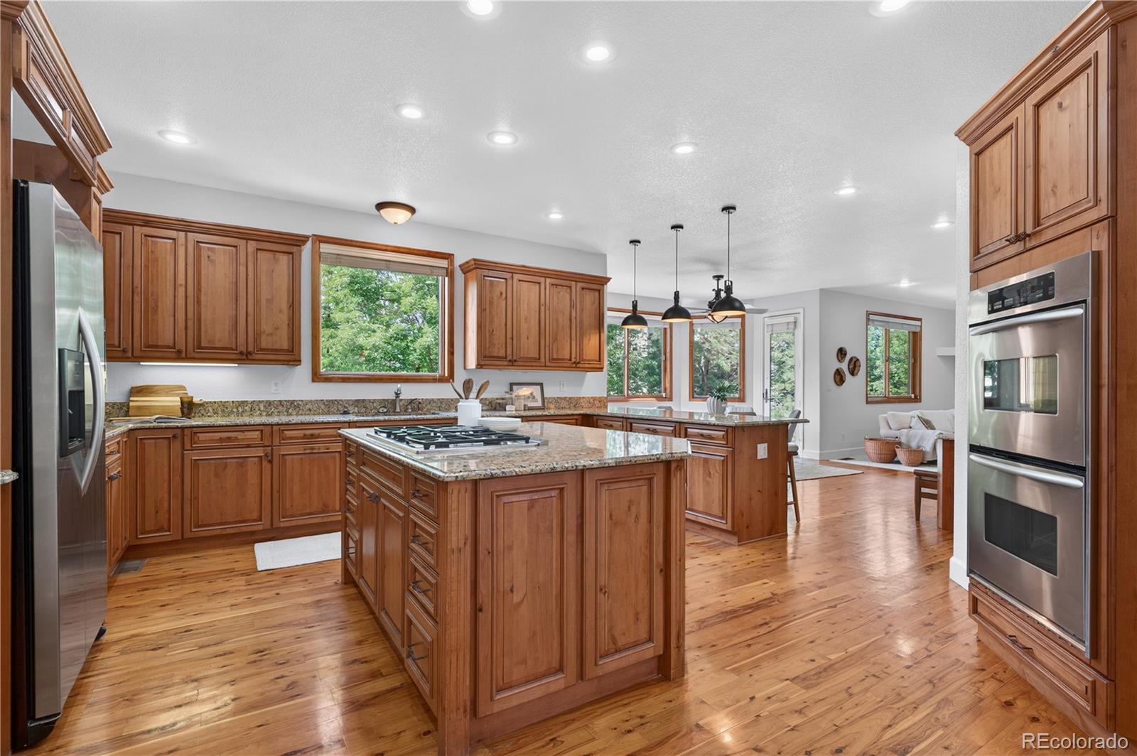 MLS Image #10 for 2721  ranch reserve lane,denver, Colorado
