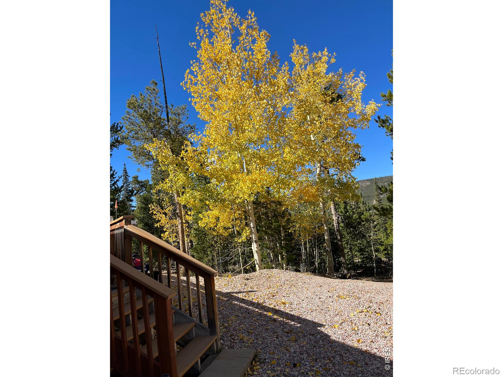 MLS Image #10 for 44  natchez circle,red feather lakes, Colorado