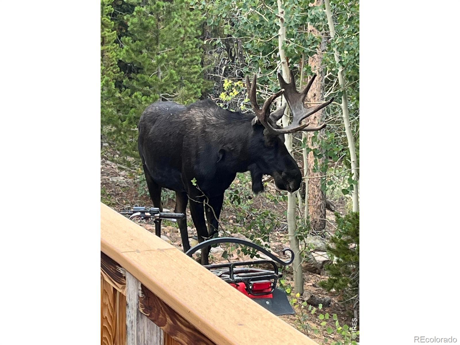 MLS Image #16 for 44  natchez circle,red feather lakes, Colorado