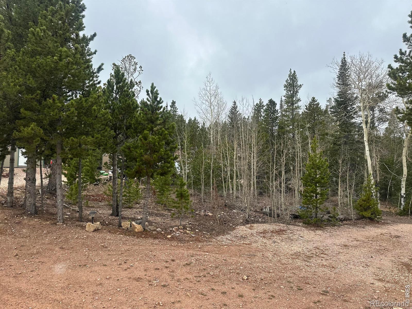 MLS Image #18 for 44  natchez circle,red feather lakes, Colorado