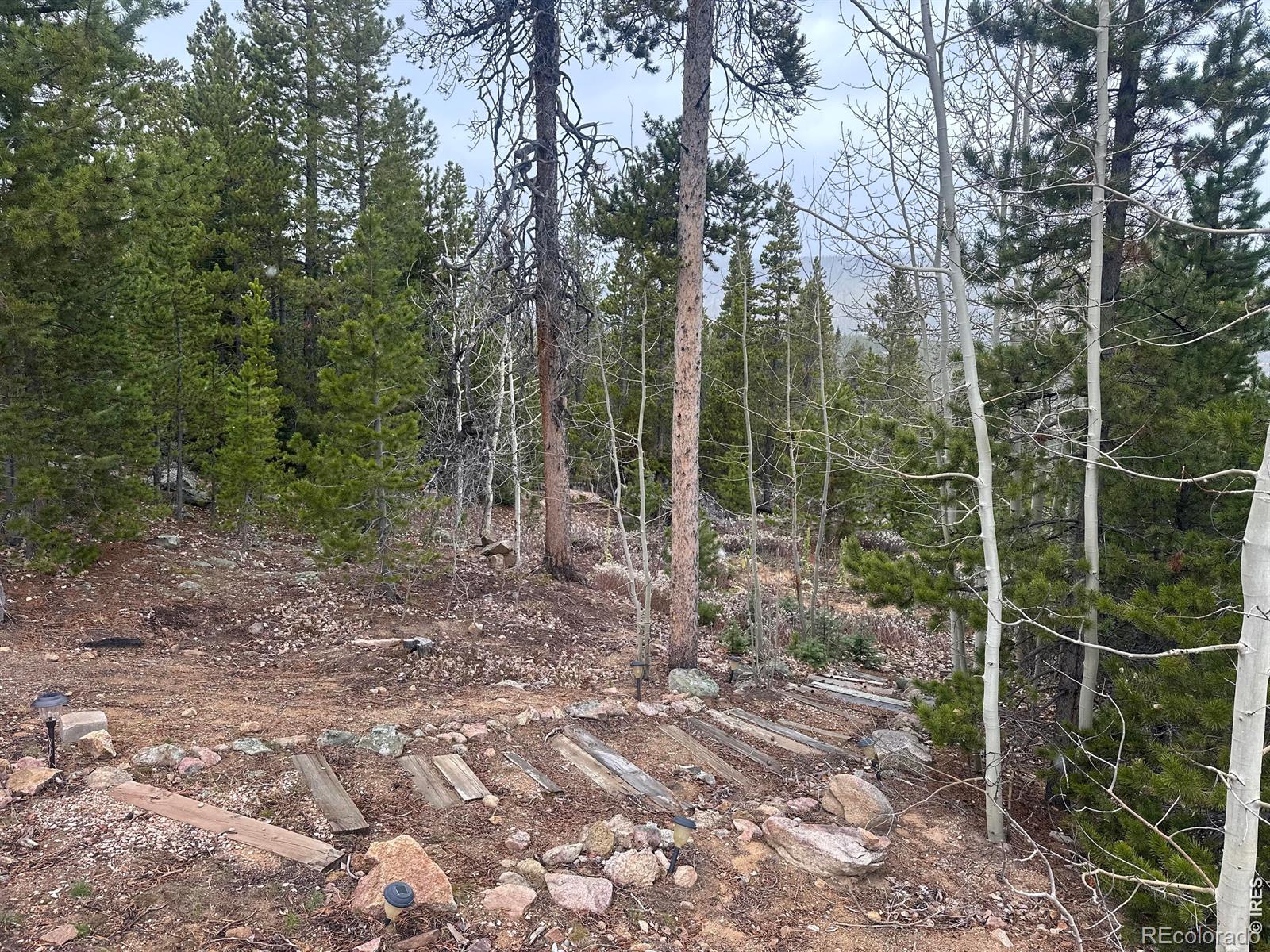 MLS Image #20 for 44  natchez circle,red feather lakes, Colorado