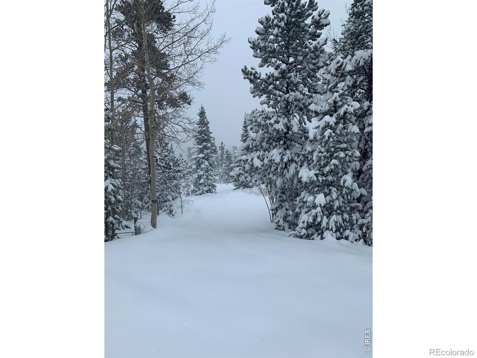 MLS Image #23 for 44  natchez circle,red feather lakes, Colorado