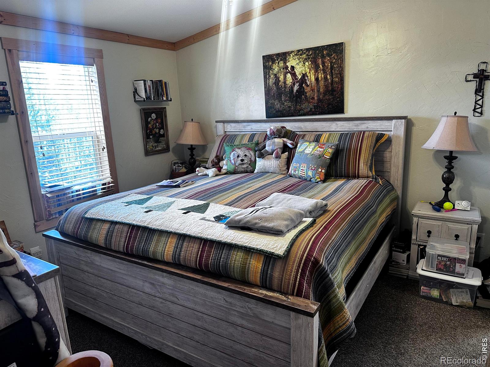 MLS Image #4 for 44  natchez circle,red feather lakes, Colorado