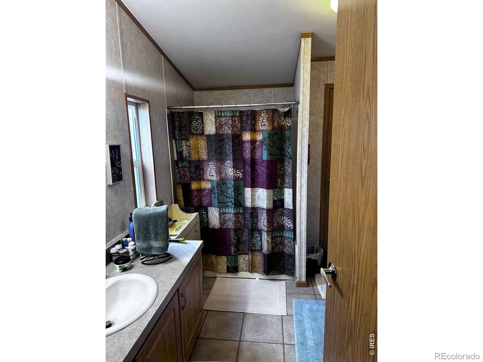 MLS Image #5 for 44  natchez circle,red feather lakes, Colorado