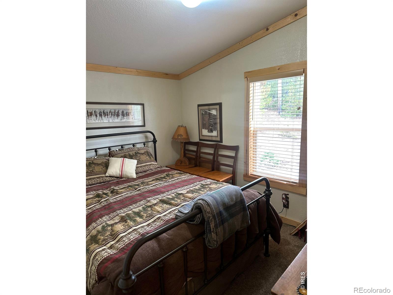 MLS Image #6 for 44  natchez circle,red feather lakes, Colorado
