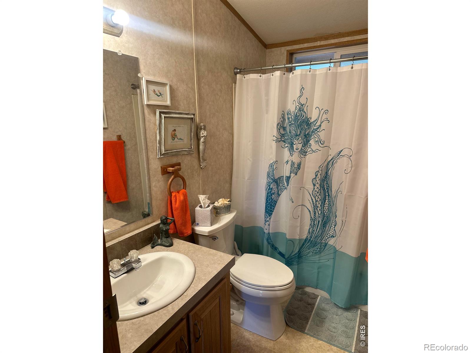 MLS Image #7 for 44  natchez circle,red feather lakes, Colorado
