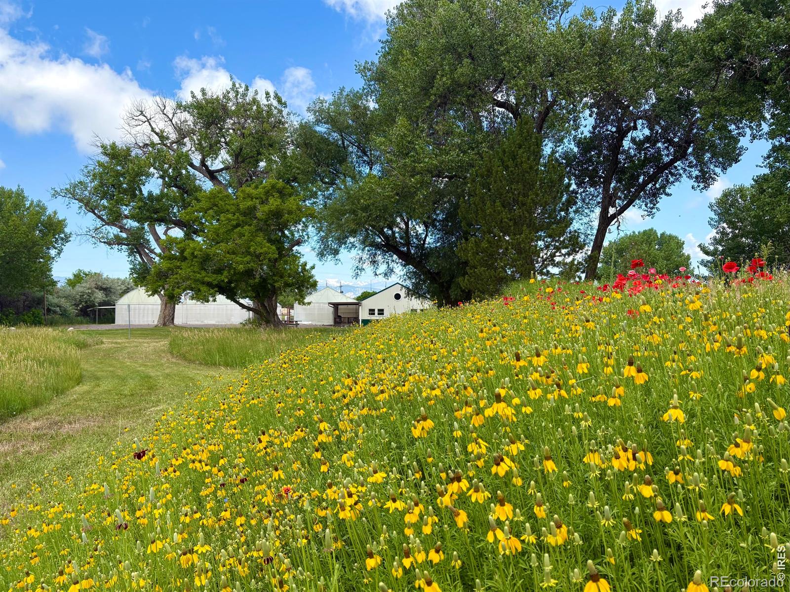 MLS Image #31 for 3705 n 75th street,boulder, Colorado
