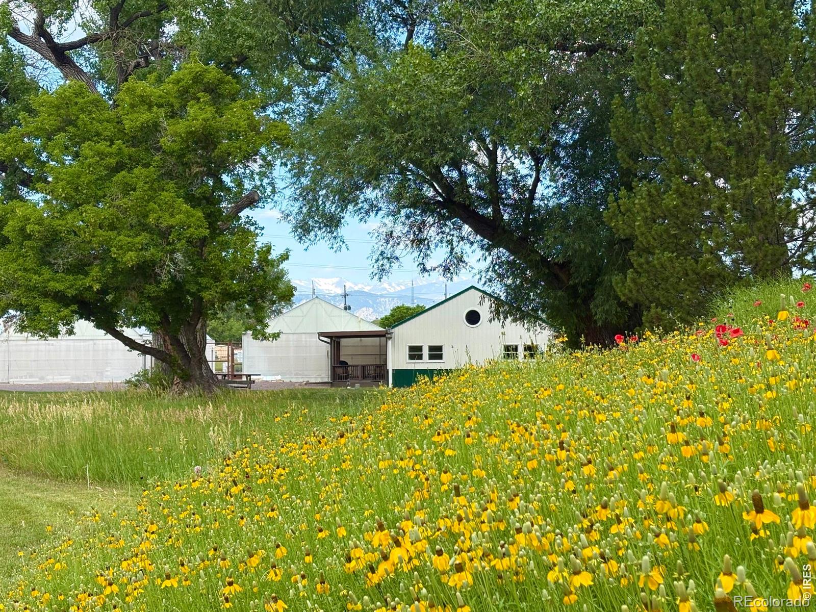 MLS Image #32 for 3705 n 75th street,boulder, Colorado