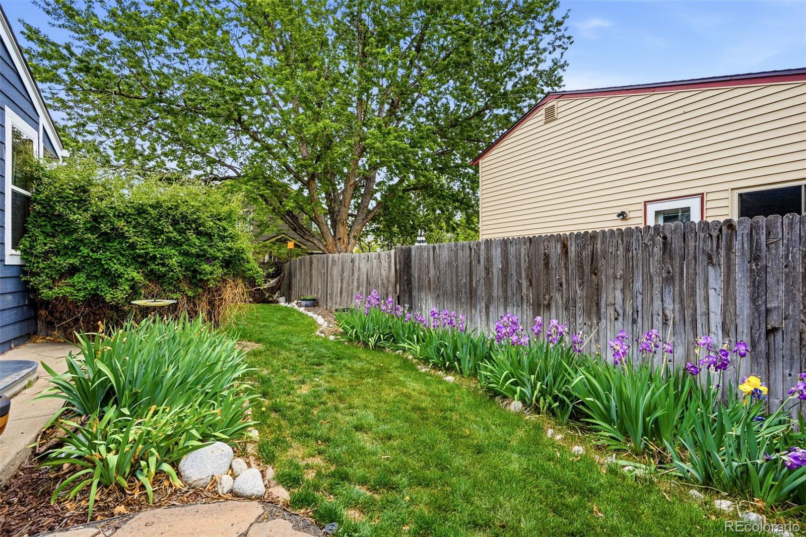 MLS Image #31 for 12440  bellaire street,thornton, Colorado