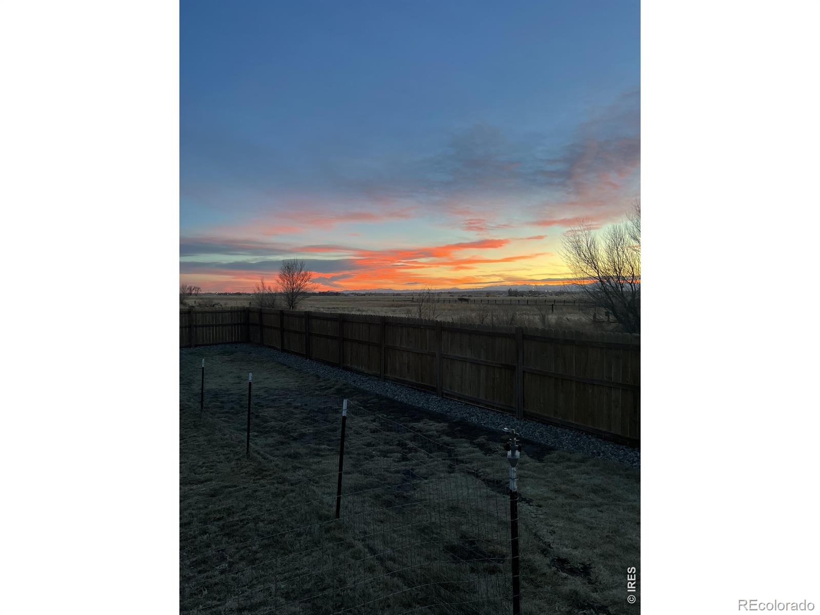 MLS Image #36 for 708  mountain avenue,pierce, Colorado