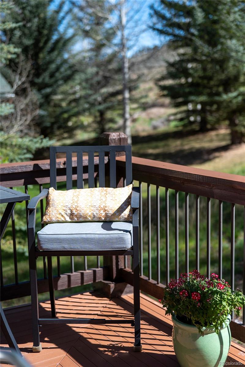 MLS Image #39 for 290  village road,granby, Colorado