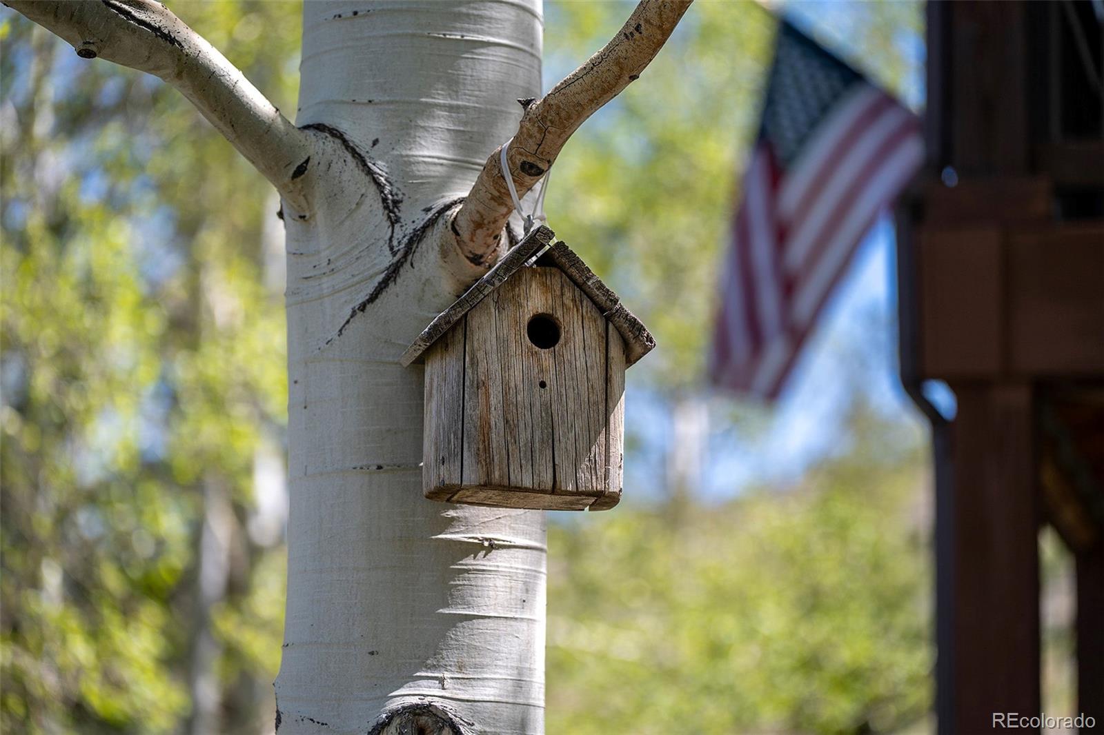 MLS Image #4 for 290  village road,granby, Colorado