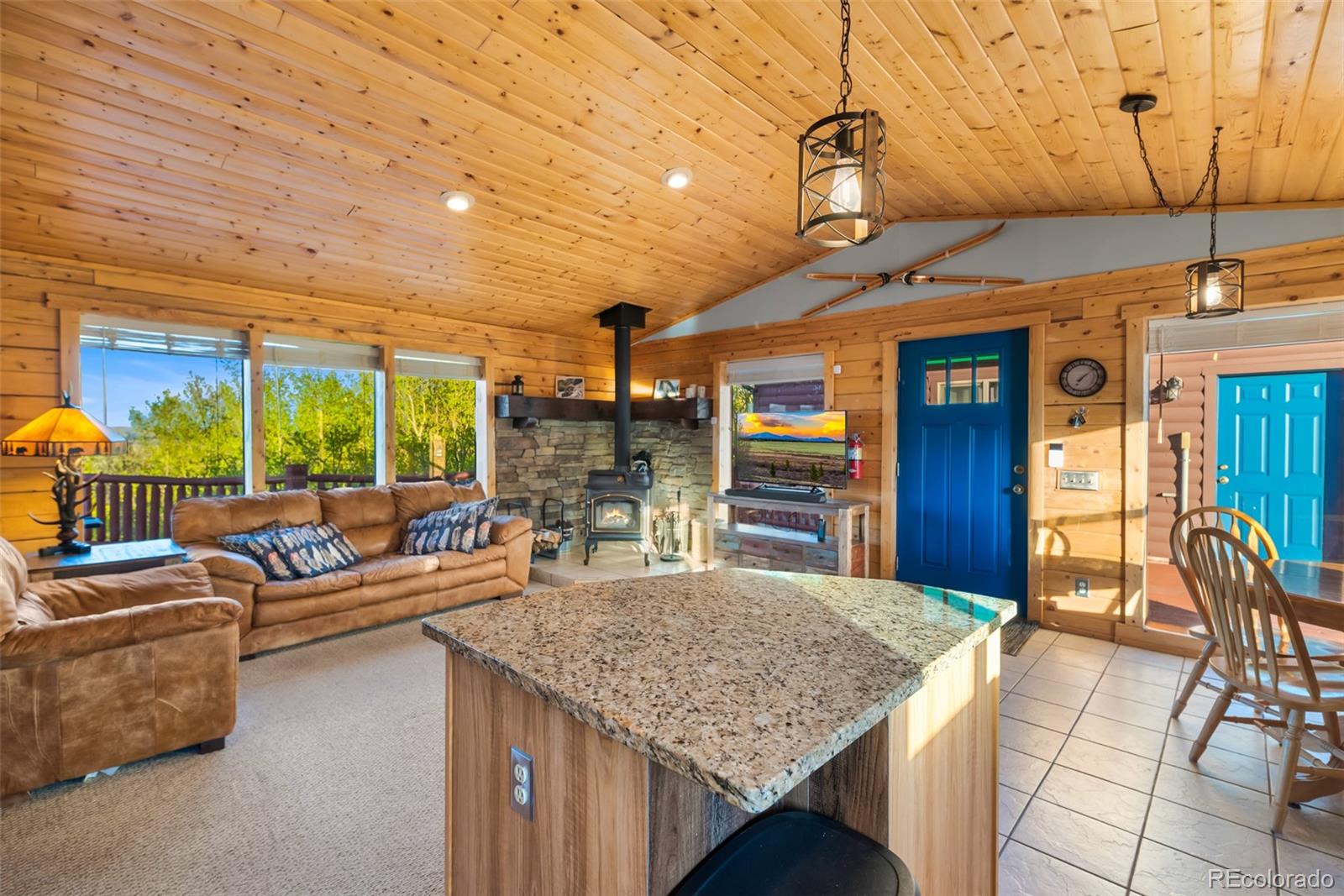 MLS Image #10 for 169  fen court,fairplay, Colorado