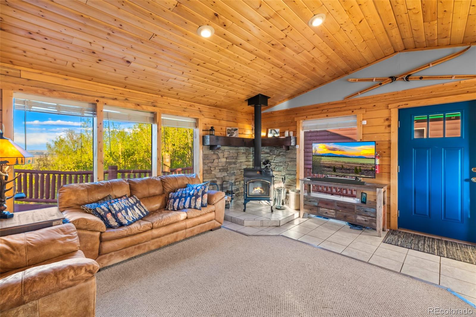 MLS Image #11 for 169  fen court,fairplay, Colorado