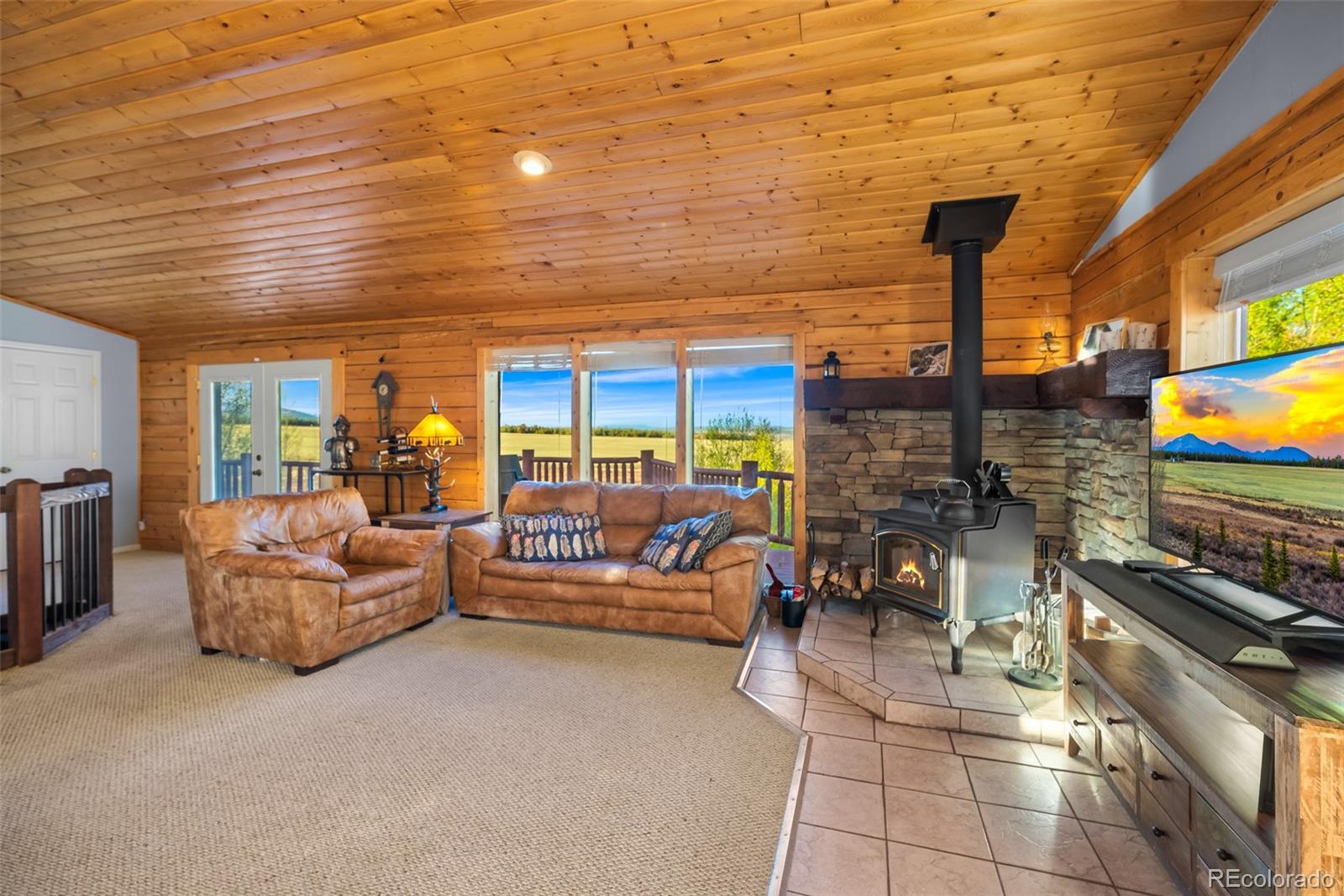MLS Image #12 for 169  fen court,fairplay, Colorado