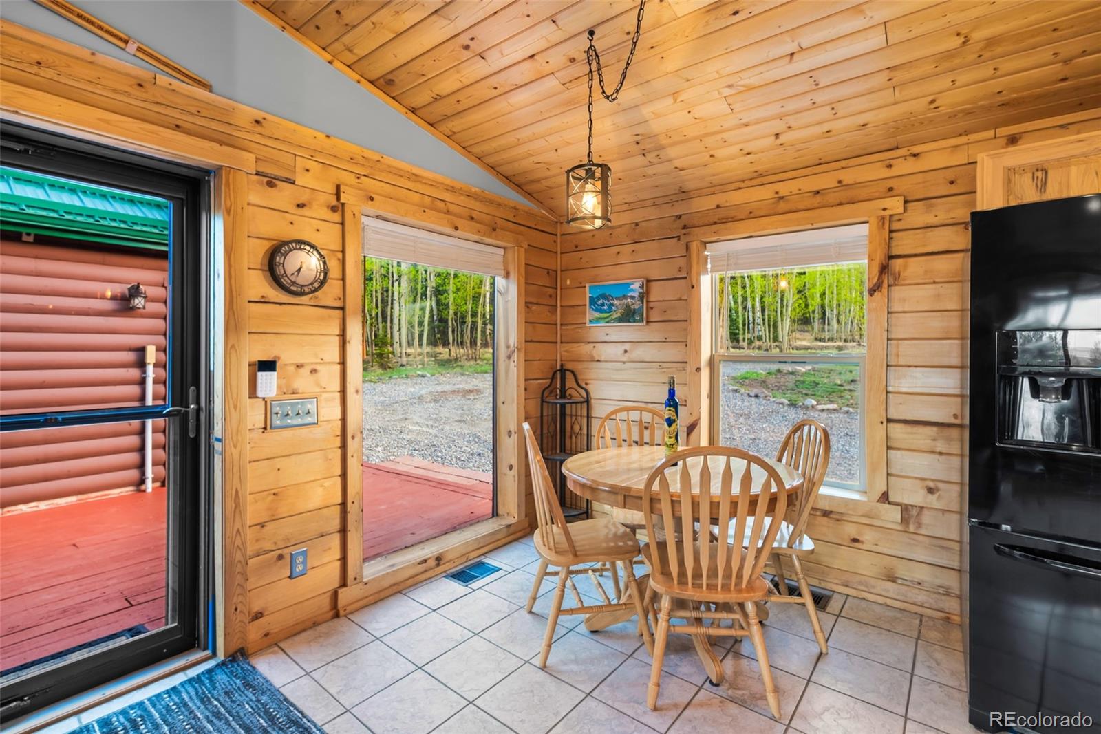 MLS Image #14 for 169  fen court,fairplay, Colorado