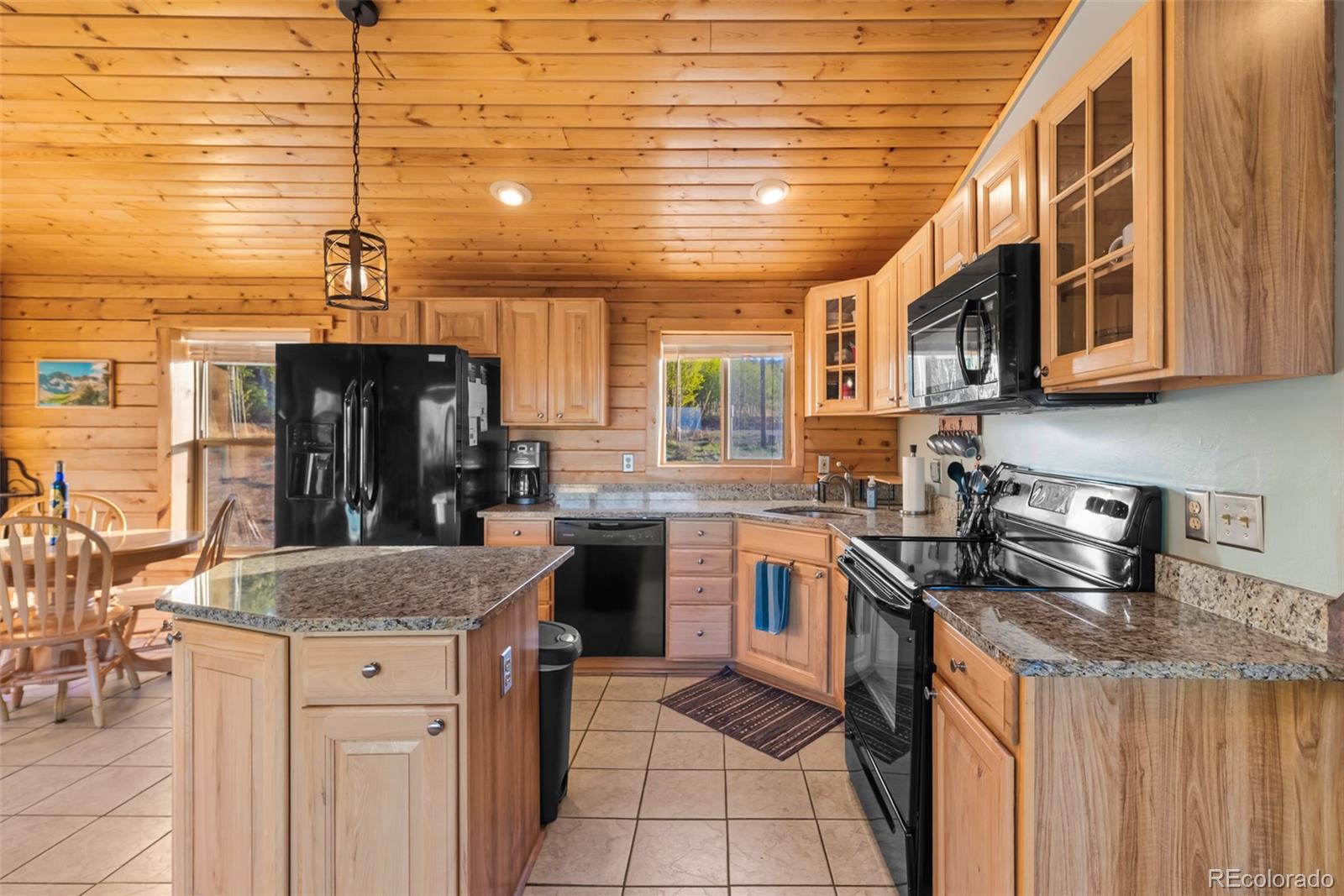 MLS Image #15 for 169  fen court,fairplay, Colorado