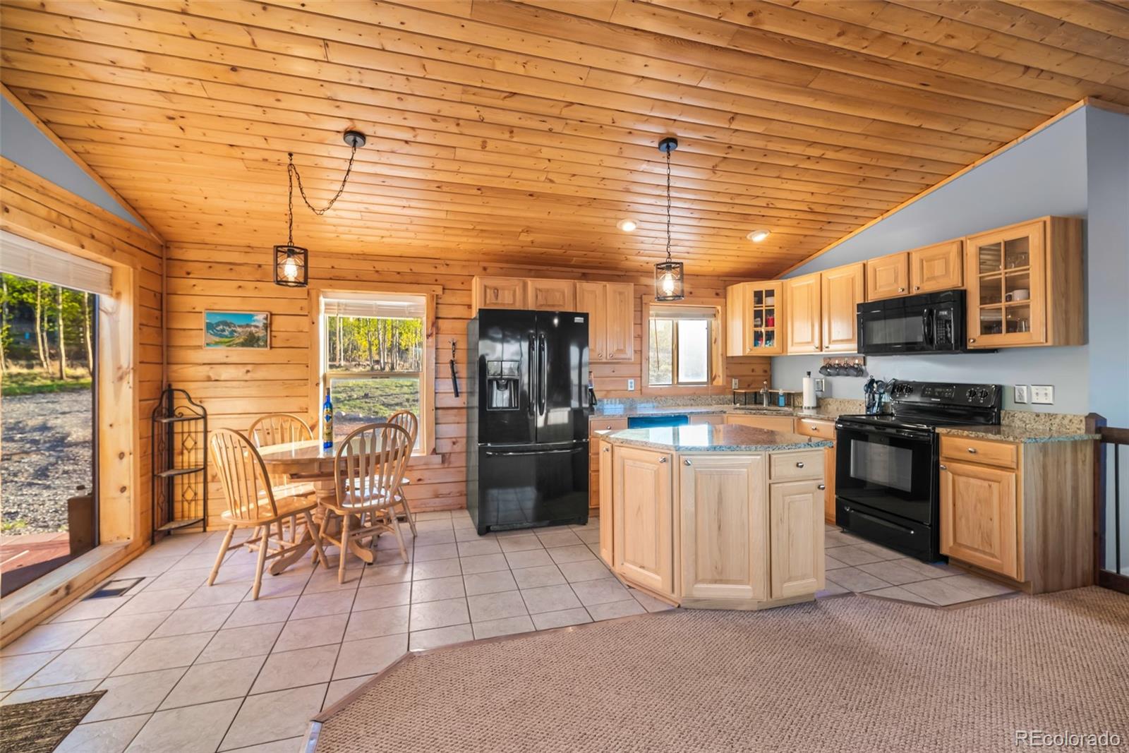 MLS Image #16 for 169  fen court,fairplay, Colorado
