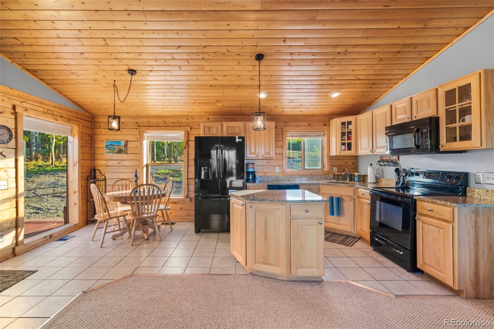 MLS Image #17 for 169  fen court,fairplay, Colorado