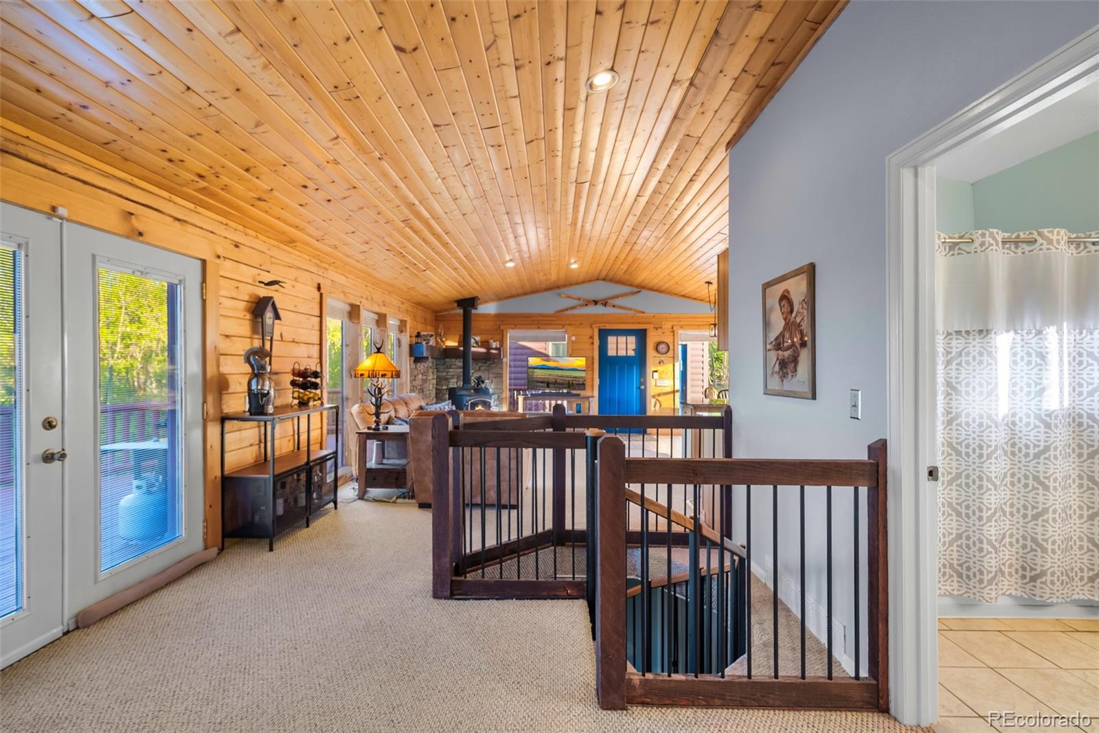 MLS Image #18 for 169  fen court,fairplay, Colorado