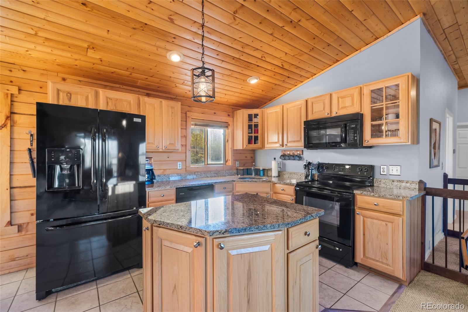 MLS Image #2 for 169  fen court,fairplay, Colorado