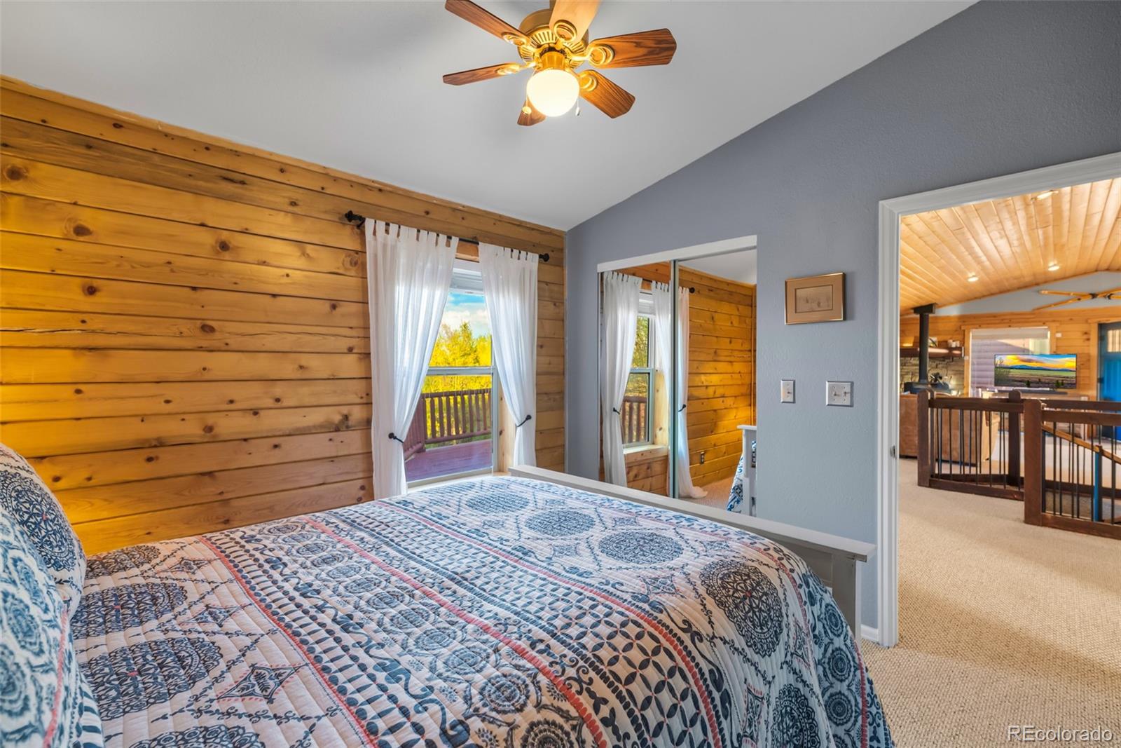 MLS Image #20 for 169  fen court,fairplay, Colorado
