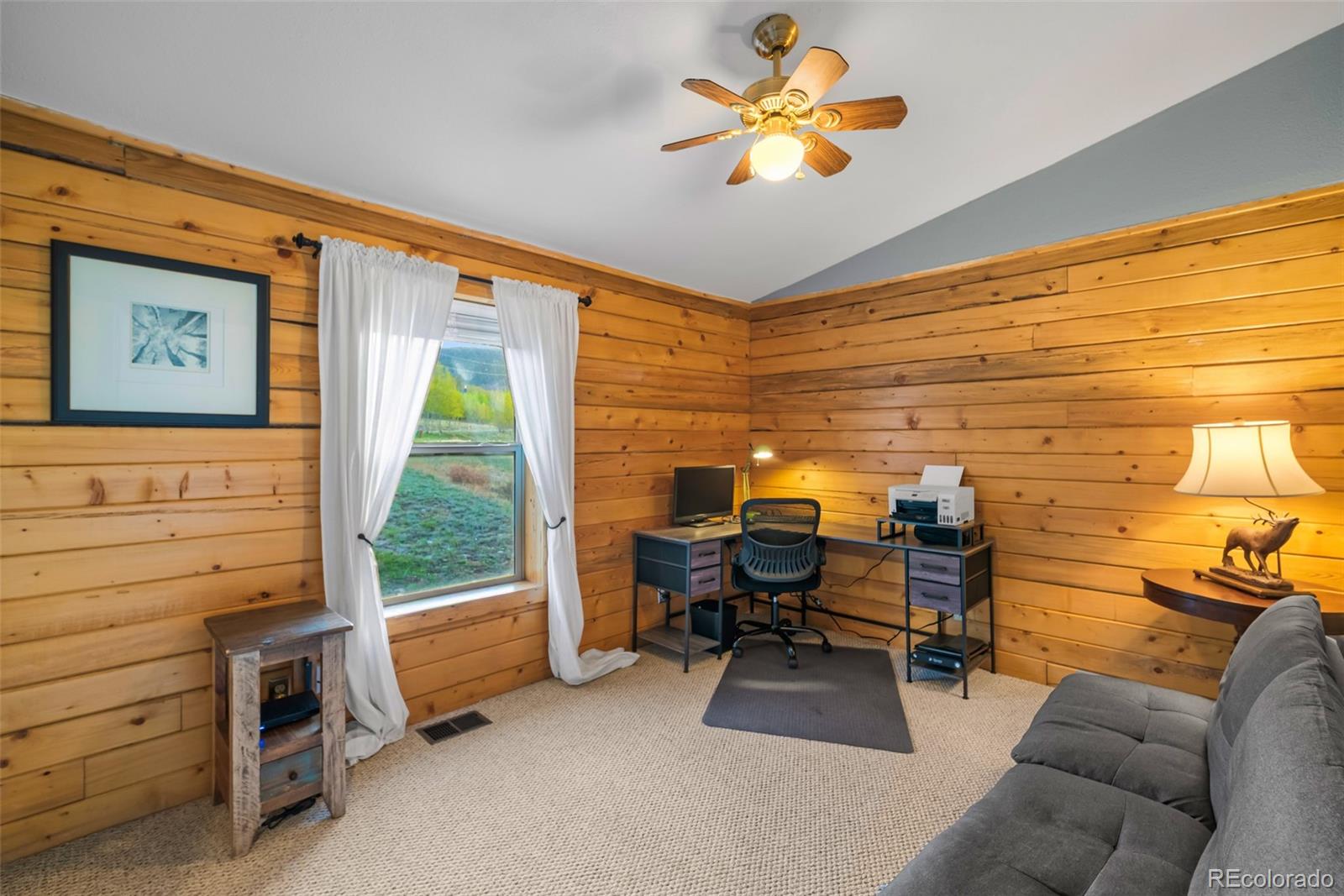 MLS Image #21 for 169  fen court,fairplay, Colorado