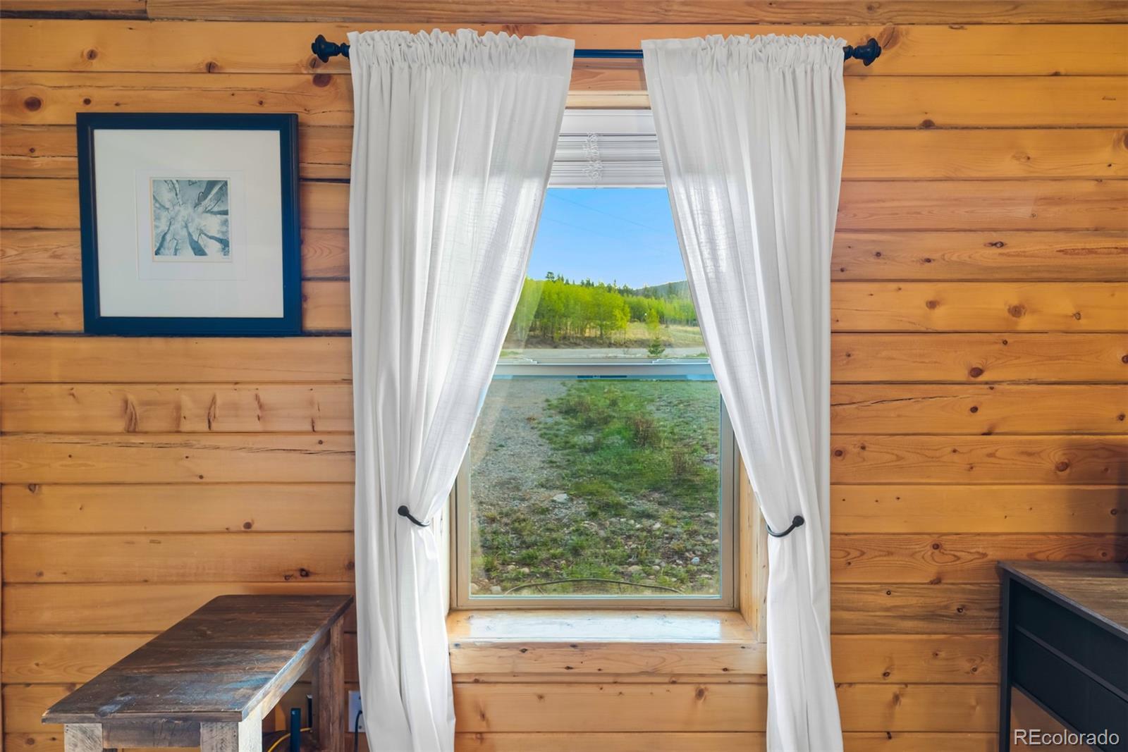 MLS Image #23 for 169  fen court,fairplay, Colorado