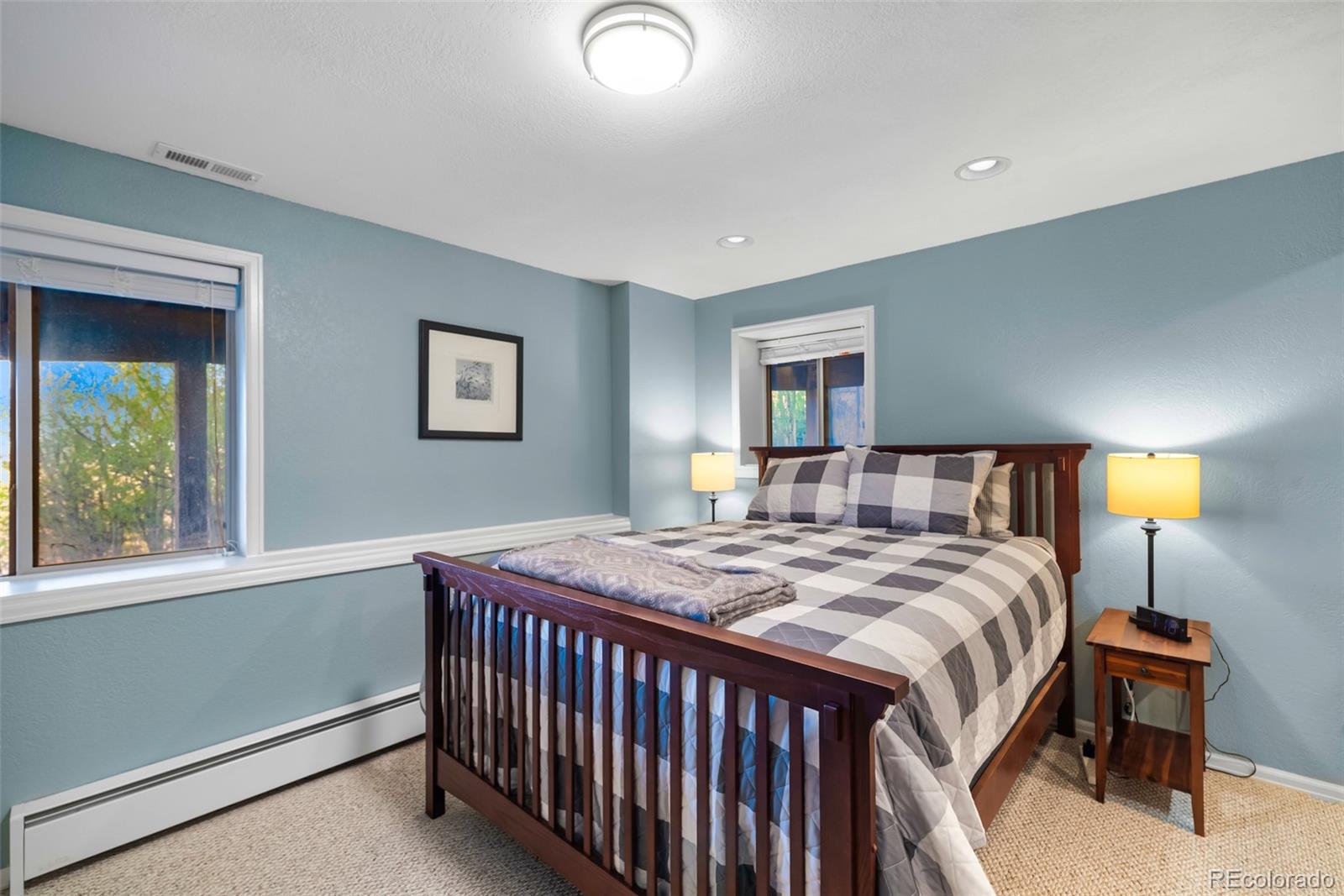 MLS Image #4 for 169  fen court,fairplay, Colorado