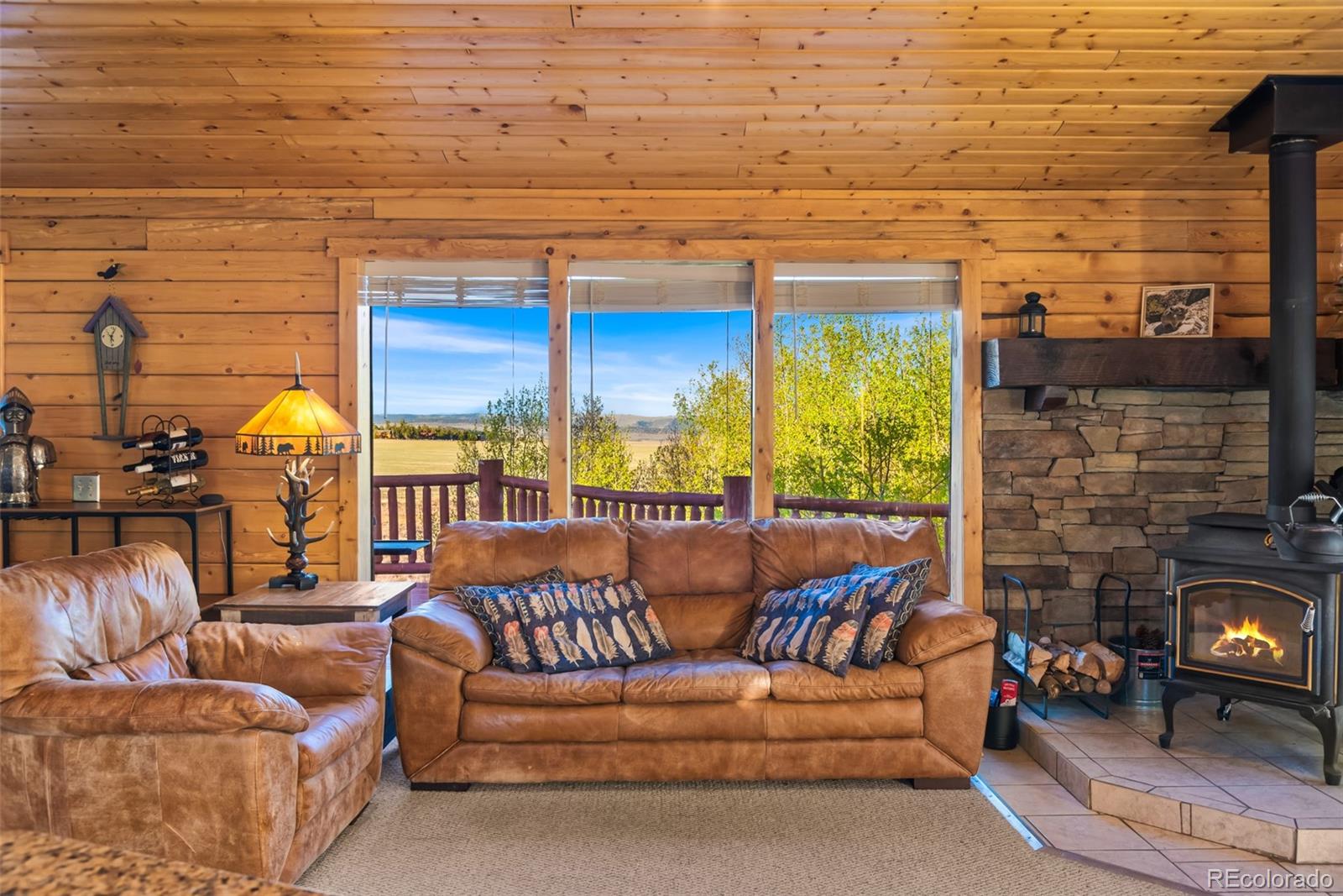 MLS Image #8 for 169  fen court,fairplay, Colorado