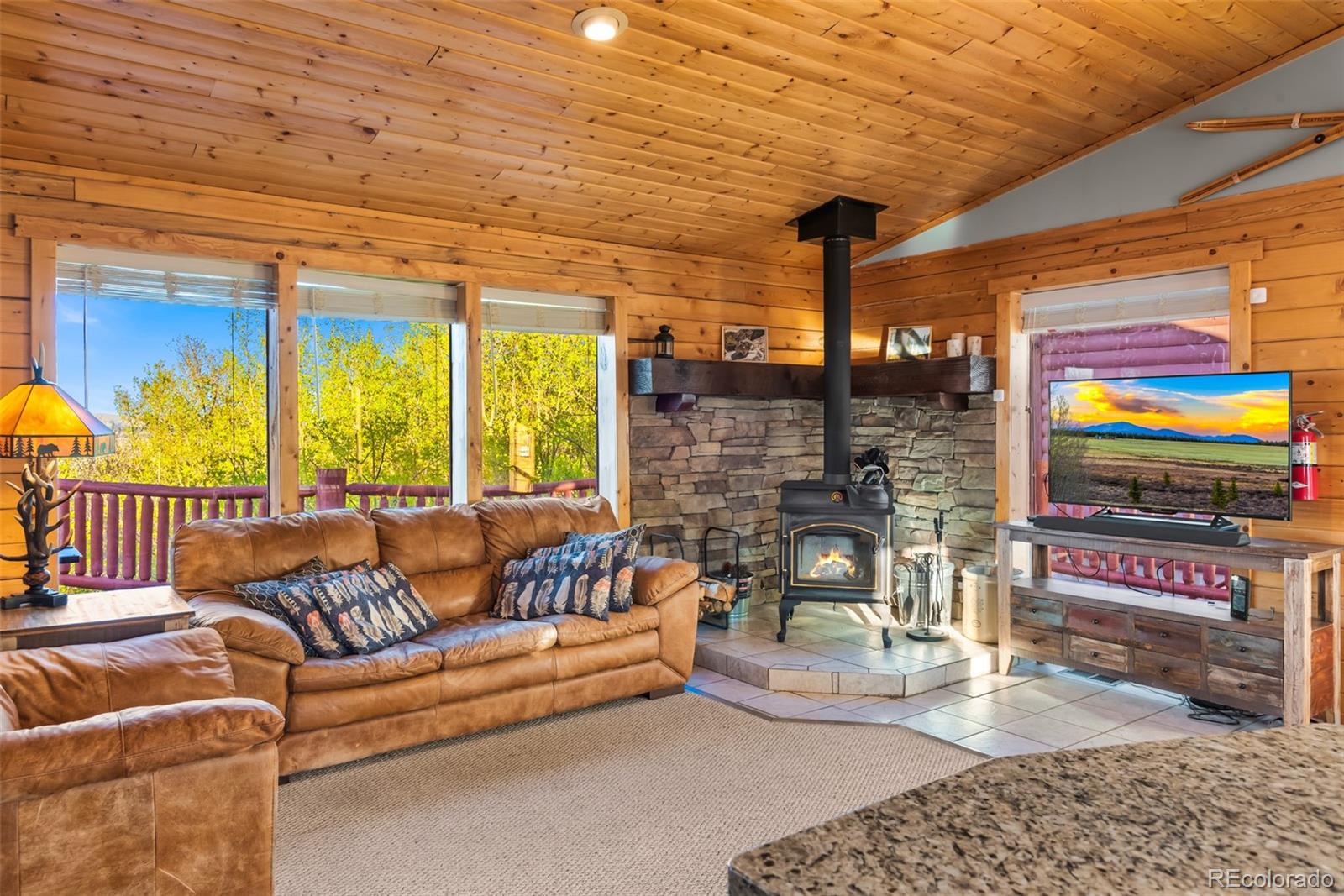 MLS Image #9 for 169  fen court,fairplay, Colorado