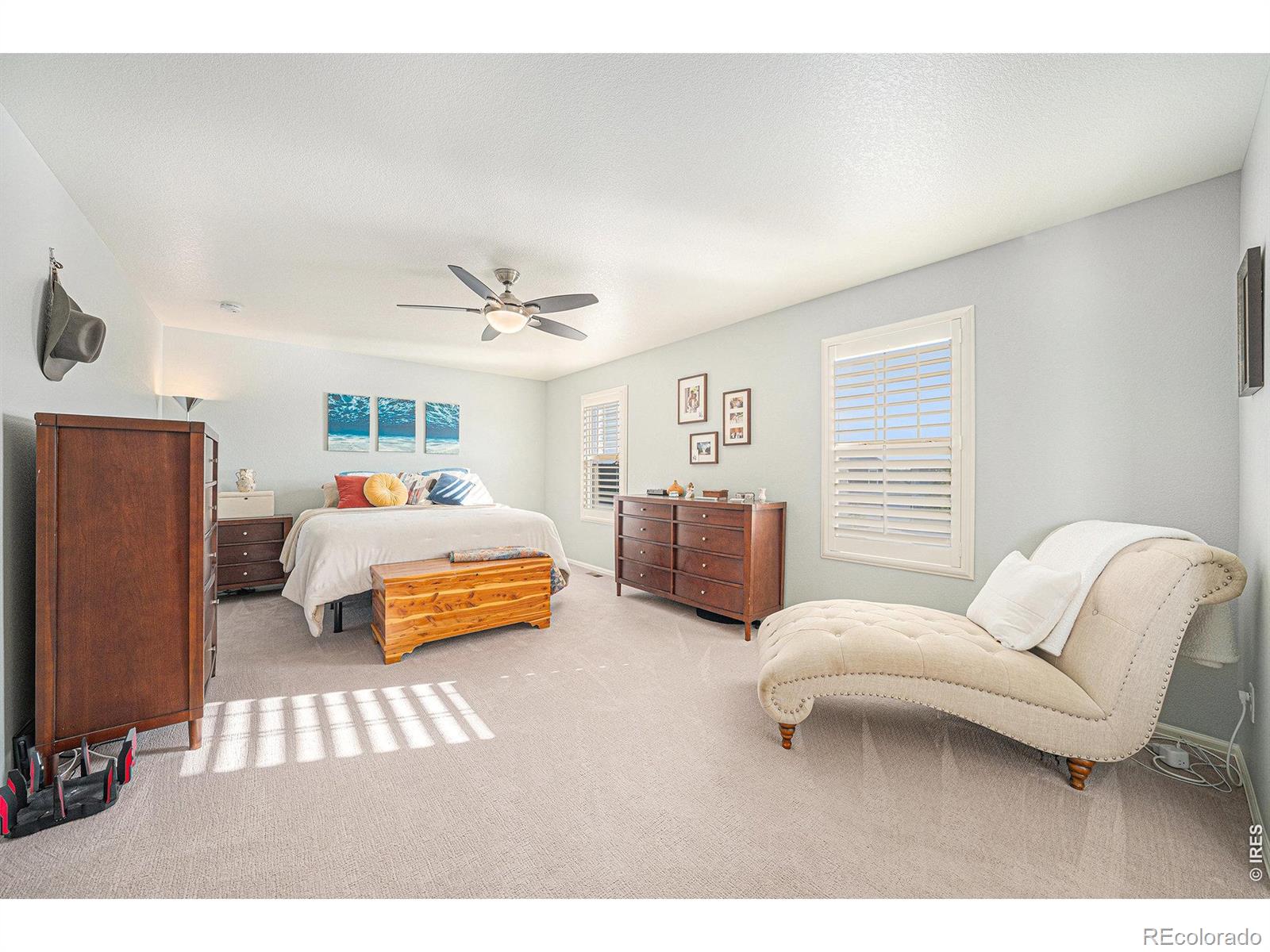MLS Image #12 for 6778  coach light court,timnath, Colorado