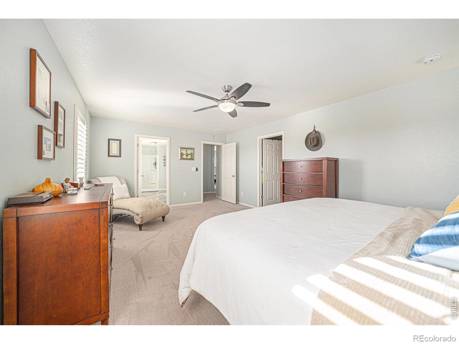 MLS Image #16 for 6778  coach light court,timnath, Colorado