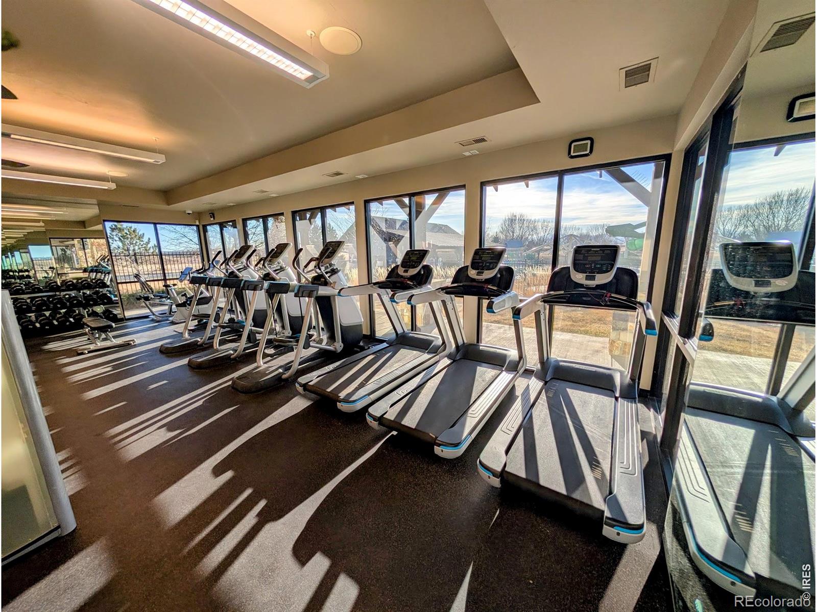 MLS Image #37 for 6778  coach light court,timnath, Colorado