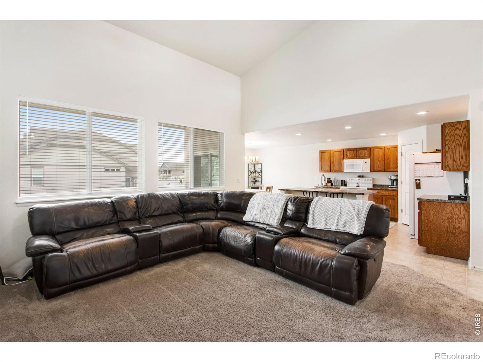 MLS Image #12 for 2671  doe ridge way,johnstown, Colorado
